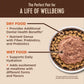 Wellness Core+ Cat Skin Coat Duck Chicken Grain - free Pate 2.8oz. (Case of 12) - Pets Perfect