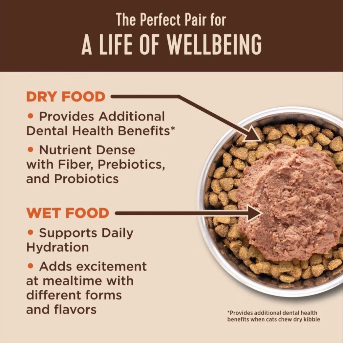 Wellness Core+ Cat Skin Coat Duck Chicken Grain - free Pate 2.8oz. (Case of 12) - Pets Perfect