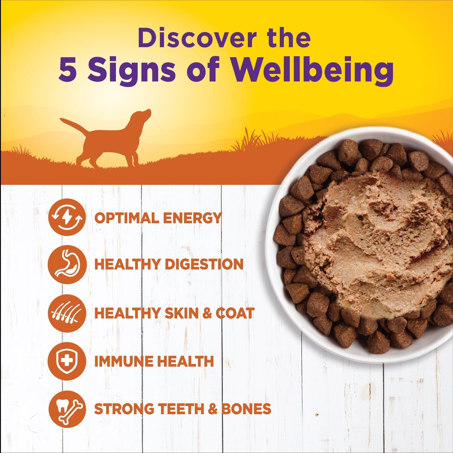 Wellness Dog Complete Health Turkey Sweet Potato Recipe 12.5 oz. 12 ct, view 2