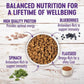 Wellness Dog GF Small Breed 11 lb Turkey Chicken Salmon Complete, view 2