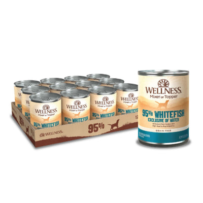 A case of twelve 13.2oz cans of Wellness 95% Whitefish dog food, with one can standing separately.