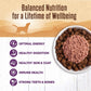 Wellness Dog Complete Health 95% Chicken 13.2 oz. 12 ct, view 2