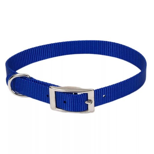 Coastal Single-Ply Nylon Dogcollar Blue 3/8X12In