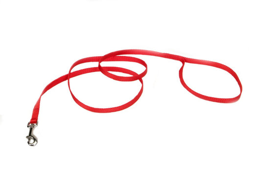 Coastal SinglePly Nylon Dog Leash Red, 1ea/3/8 In X 4 ft