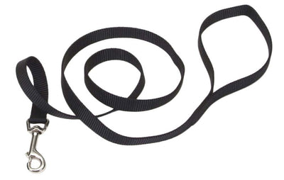 Thin black nylon dog leash coiled with silver snap hook