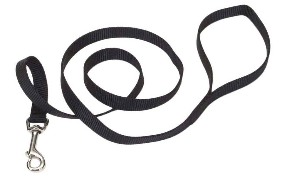 Thin black nylon dog leash coiled with silver snap hook