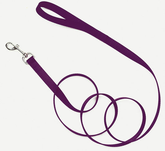 Coastal SinglePly Nylon Dog Leash Purple, 1ea/5/8 In X 6 ft