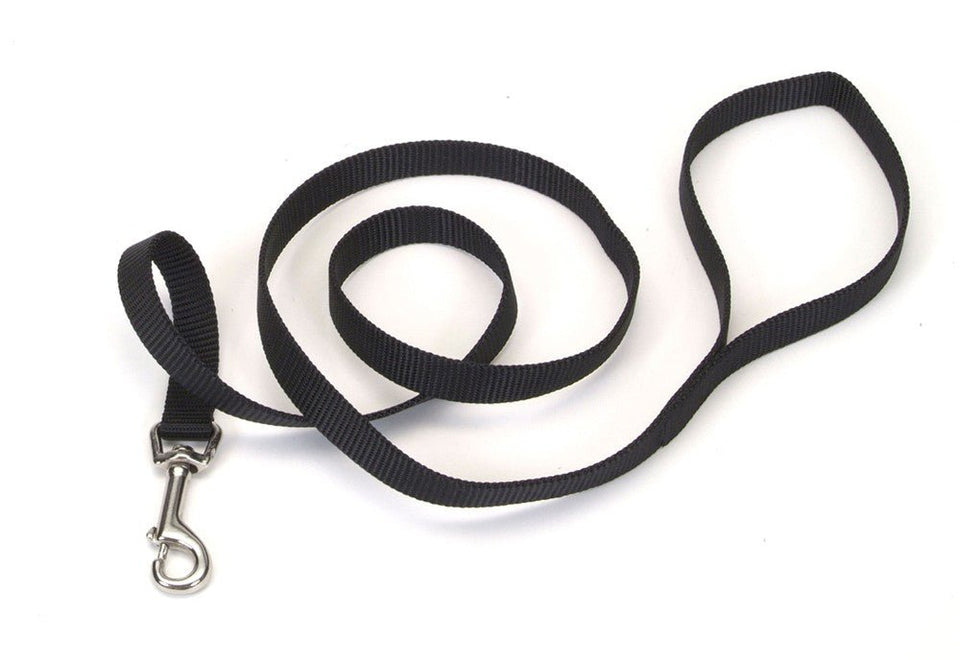 Coastal SinglePly Nylon Dog Leash Black, 3/4 in x 4 ft