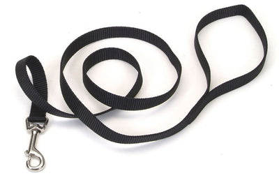 Black nylon dog leash coiled in tight loops with silver clasp