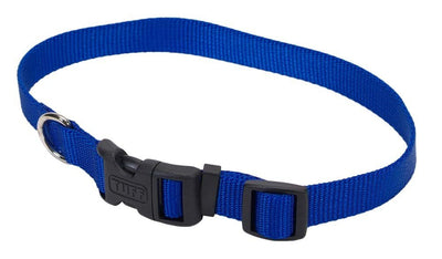 Blue nylon dog collar with black quick-release buckle and D-ring