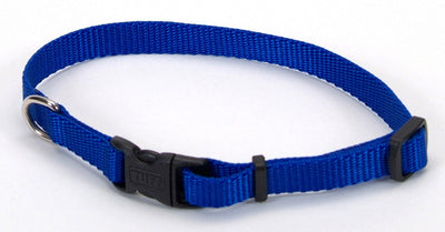 Coastal Adjustable Nylon Dog Collar with Plastic Buckle Blue, 3/8 in x 8-12 in
