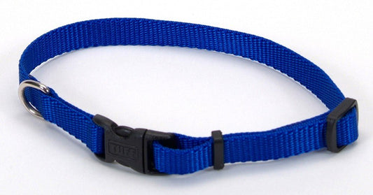 Coastal Adjustable Nylon Dog Collar with Plastic Buckle Blue, 1ea/3/8 In X 812 in