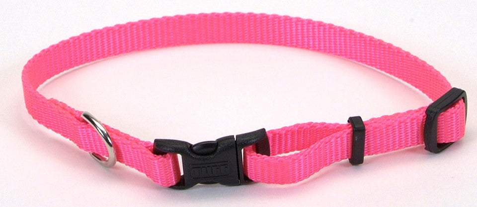 Coastal Adjustable Nylon Dog Collar with Plastic Buckle Neon Pink, 3/8 in x 8-12 in