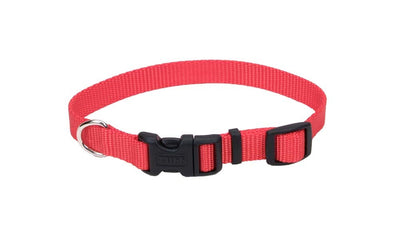 Red nylon dog collar arranged in an oval showing buckle and D-ring
