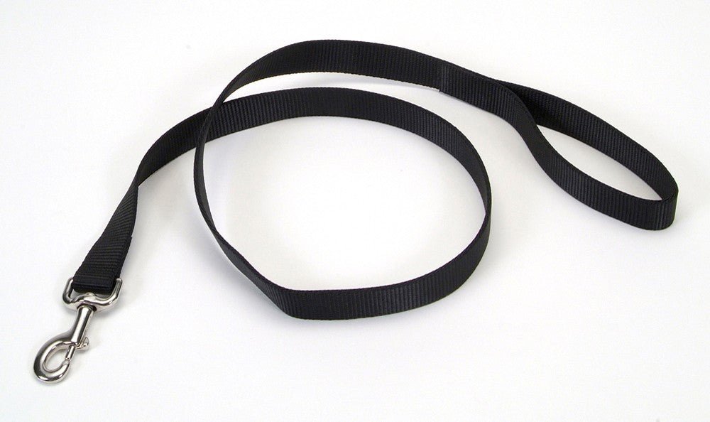 Coastal SinglePly Nylon Dog Leash Black, 1ea/1 In X 4 ft - Pets Perfect