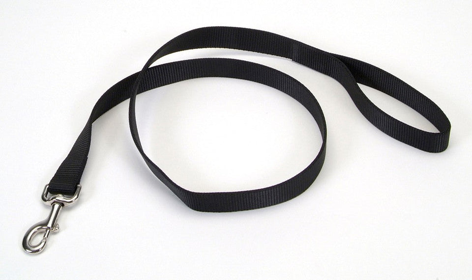Black nylon dog leash, 1 inch wide, coiled with metal clasp