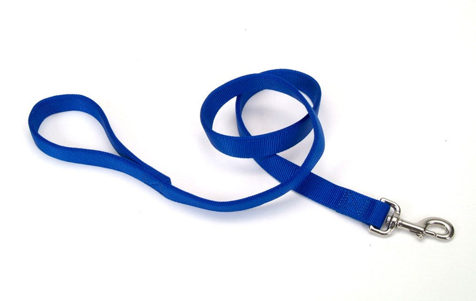 Blue nylon dog leash looped with stitched handle and metal snap hook