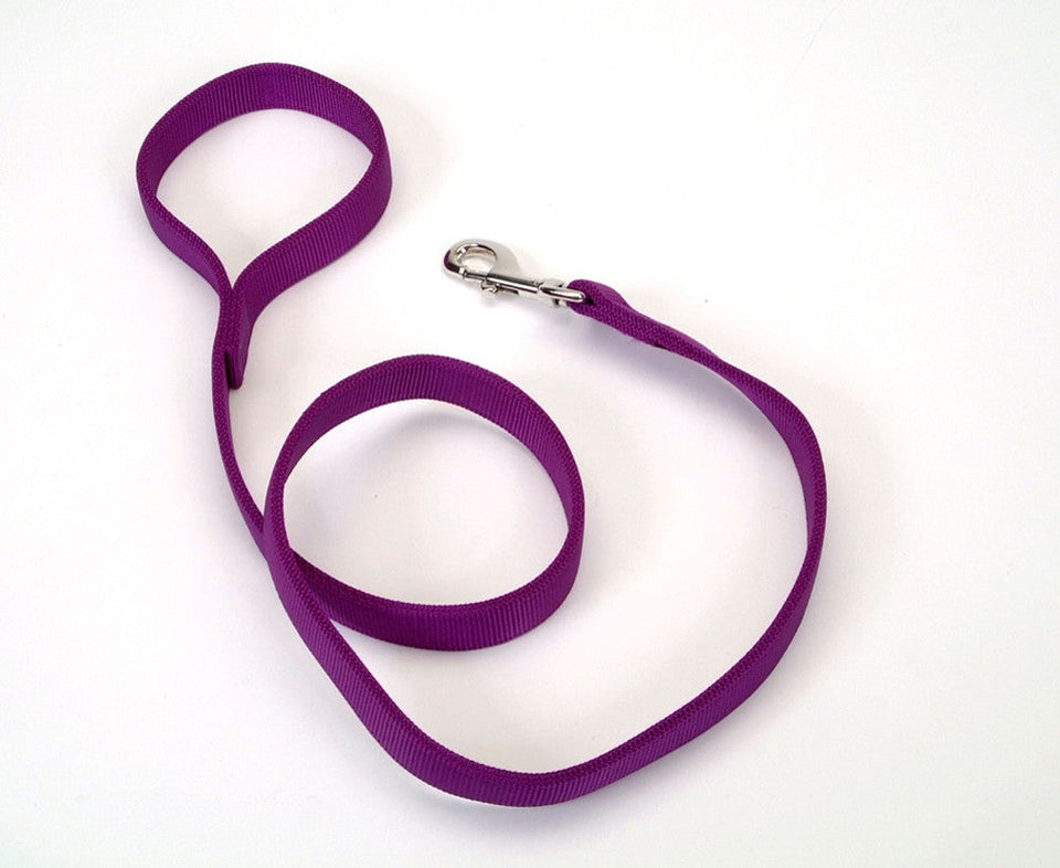 Purple nylon dog leash coiled with handle loop and snap hook clip