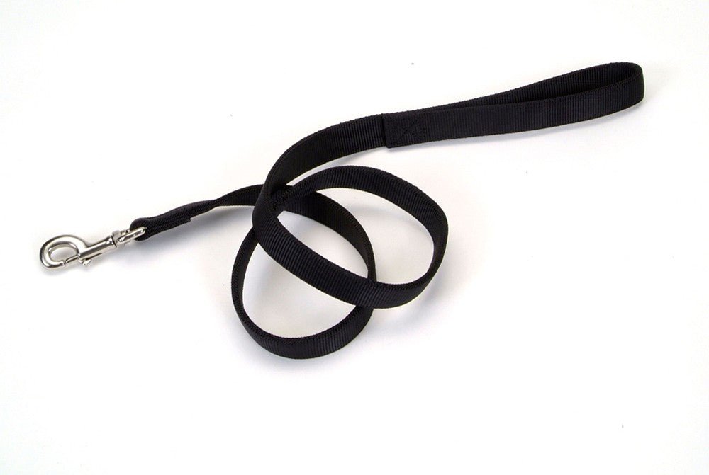 Coastal DoublePly Nylon Dog Leash Black, 1ea/1 In X 6 ft - Pets Perfect
