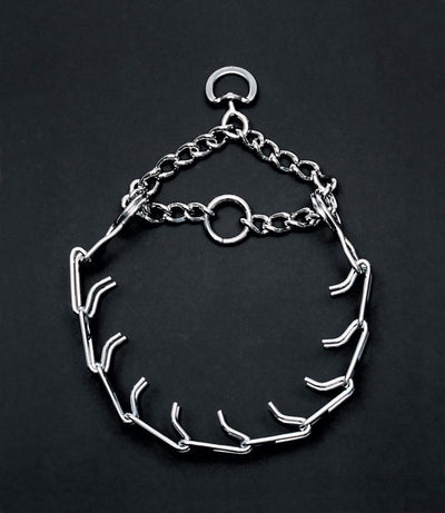 Silver metal prong dog collar with a chain loop and O-ring, laid flat on a dark background.