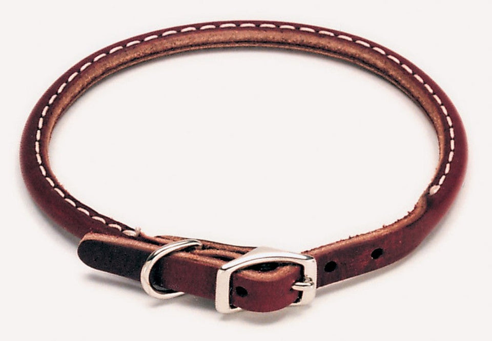 Circle T Latigo Leather Round Dog Collar Brown 3/8 in x 14 in