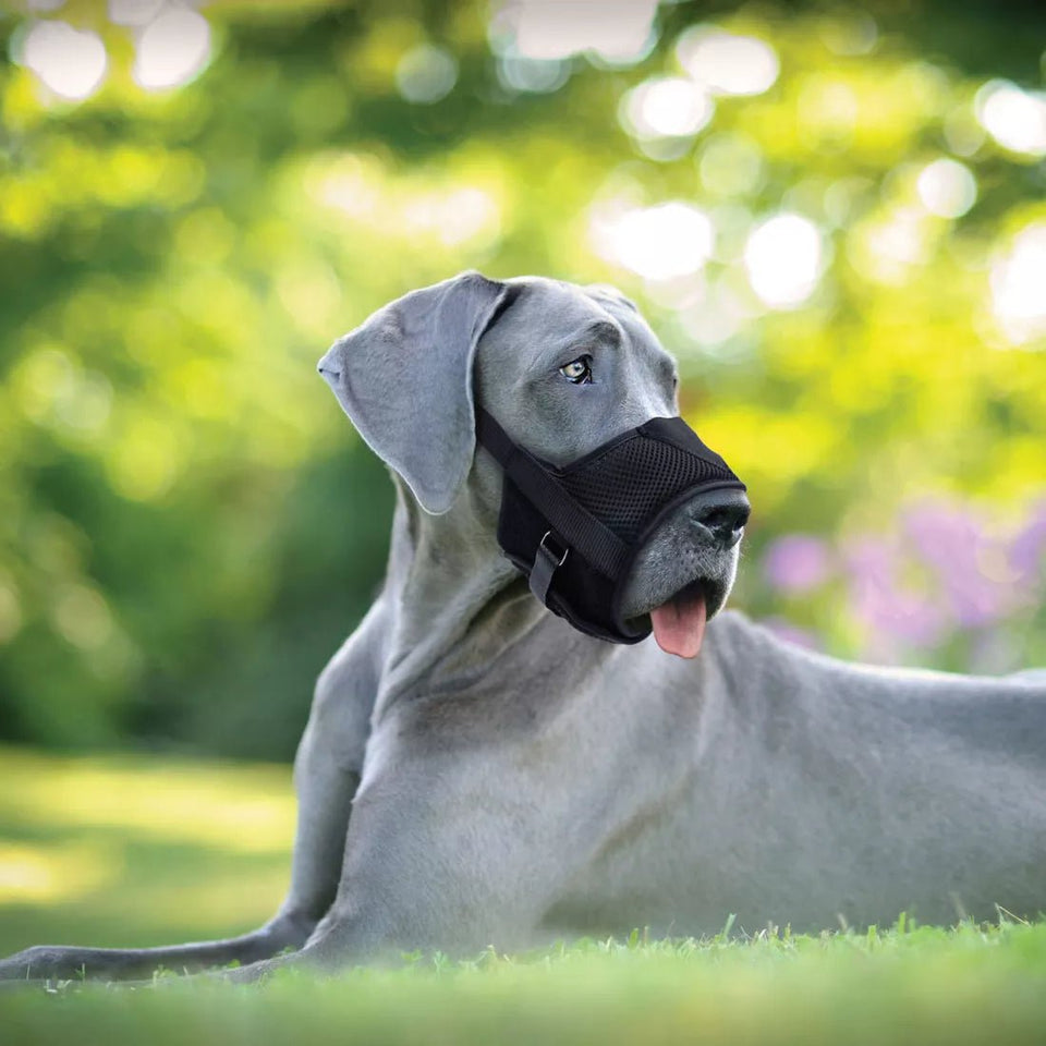 Coastal Best Adjustable Black Muzzle-Large - Pets Perfect