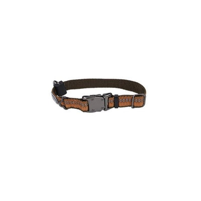 Coastal K9 Explorer 5/8 in Adj Dog Collar Camp Fire Orange (10-14 in) - Pets Perfect