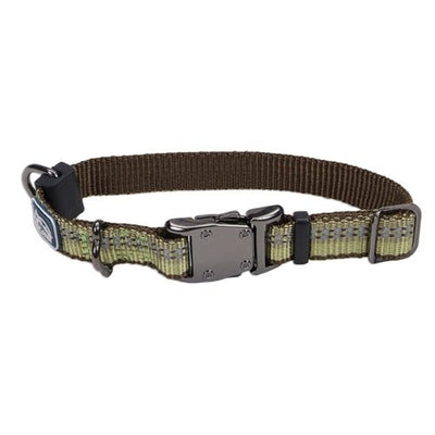 Coastal K9 Explorer 5/8 in Adj Dog Collar Fern Green (10-14 in) - Pets Perfect