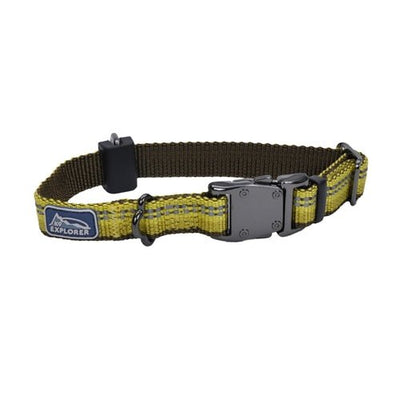 Coastal K9 Explorer 5/8 in Adj Dog Collar Goldenrod Yellow (10-14 in) - Pets Perfect