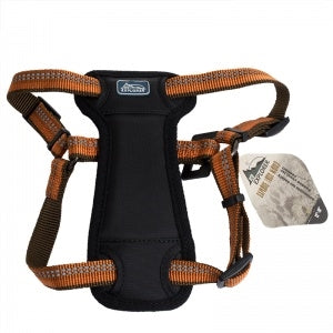 Coastal K9 Explorer 5/8 in Padded Dog Harness Camp Fire Orange (12-18 in)