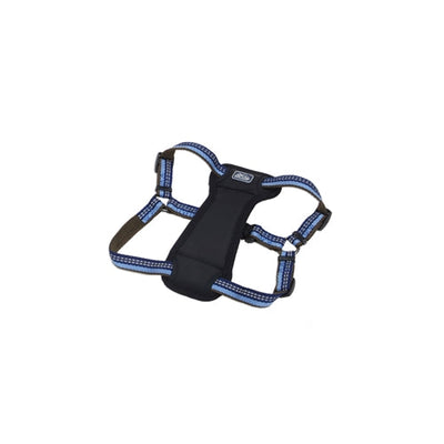 Coastal K9 Explorer 5/8 in Padded Dog Harness Sapphire Blue (12-18 in)