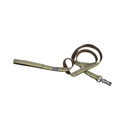 Coastal Products K9 Explorer Reflective Dog Leash With Scissor Snap Fern Medium/Large 1 in x 6' - Pets Perfect