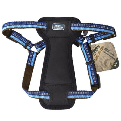 Coastal K9 Explorer, 1 in Padded Dog Harness Sapphire Blue (26-38 in)