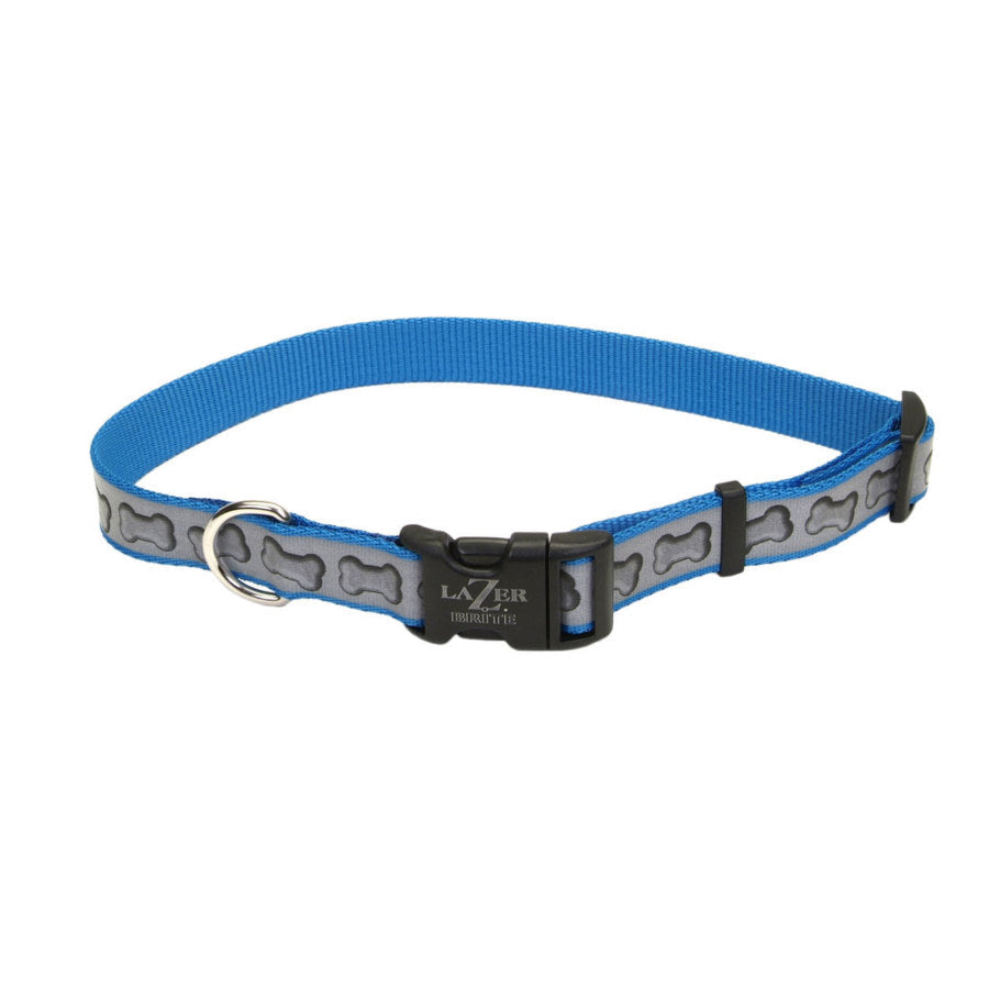Lazer Brite Reflective Adjustable Dog Collar Turquoise, 5/8 in x 12-18 in