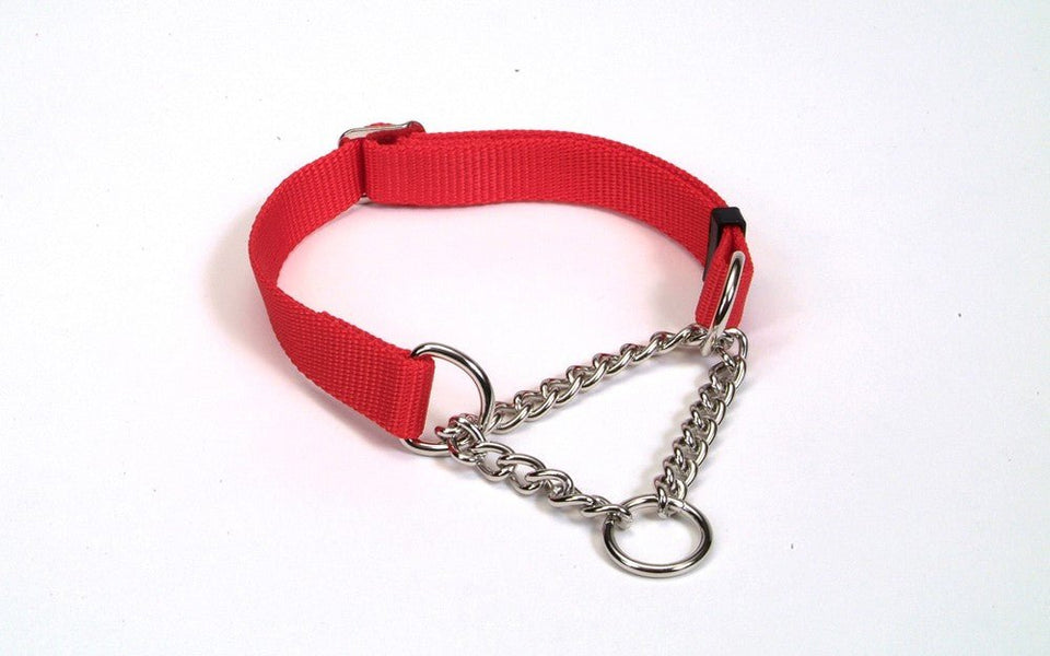 Check-Choke Adjustable Check Training Dog Collar Red 5/8 in x 10-14 in