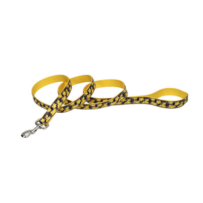 Ribbon Nylon Dog Leash, Yellow, 1 in x 6 ft