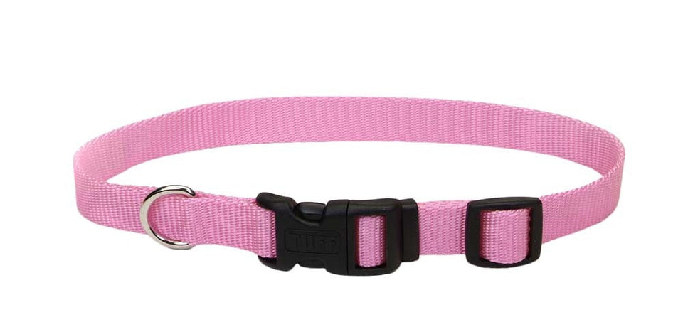Coastal Adjustable Nylon Dog Collar with Plastic Buckle Bright, Pink, 5/8 in x 10-14 in