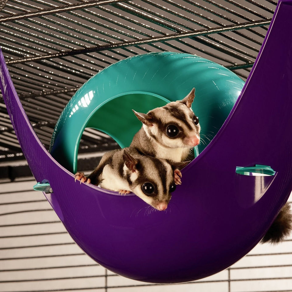 Lixit Critter Space Pod Small Animal House Purple/Blue 1ea/LG - Small Animal Habitats