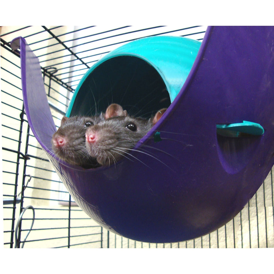 Lixit Critter Space Pod Small Animal House Purple/Blue 1ea/LG - Small Animal Habitats