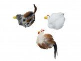 Spot Birds of a Feather Catnip Toy Assorted 6 in - Pets Perfect