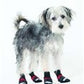 Fashion Pet Extreme All Weather Boots Red/Black 1ea/LG - Pets Perfect