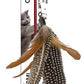 Spot Telescoping Kitty Teaser Wand Cat Toy Assorted 36 in - Pets Perfect