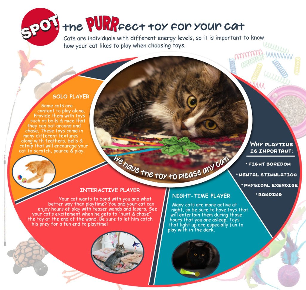 Ethical Pet Spin About Cat Toy - Pets Perfect