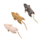Spot Flat Mouse Frankie with Nip Catnip Toy Assorted 5.5 in - Pets Perfect