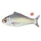 Ethical Pet Fanatic Fish Teaser Wand Asstd - Pets Perfect