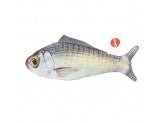 Ethical Pet Fanatic Fish Teaser Wand Asstd - Pets Perfect