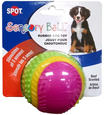 A colorful, textured dog toy ball in clear packaging, with a puppy and text Beef Scented visible.