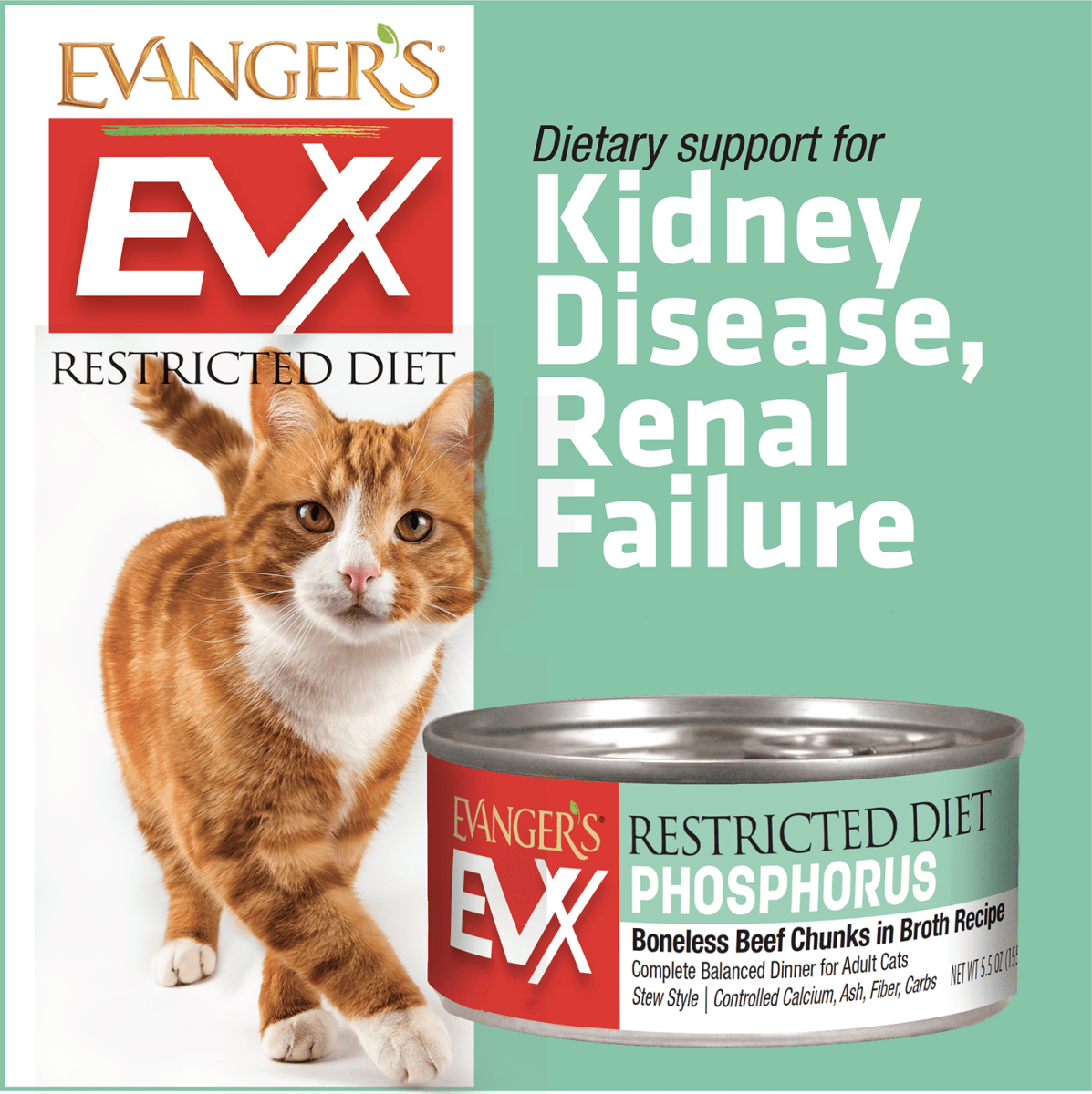 Evanger's EVx Restricted Diet Phosphorus Wet Cat Food Boneless Beef Chunks in Broth 5.5oz 24pk - Pets Perfect