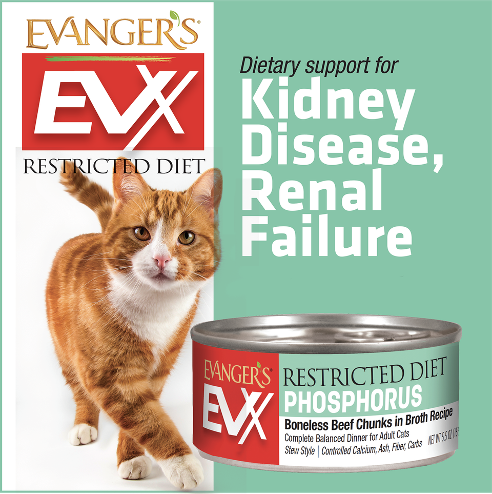 Evanger's EVx Restricted Diet Phosphorus Wet Cat Food Boneless Beef Chunks in Broth 5.5 oz 24 ct