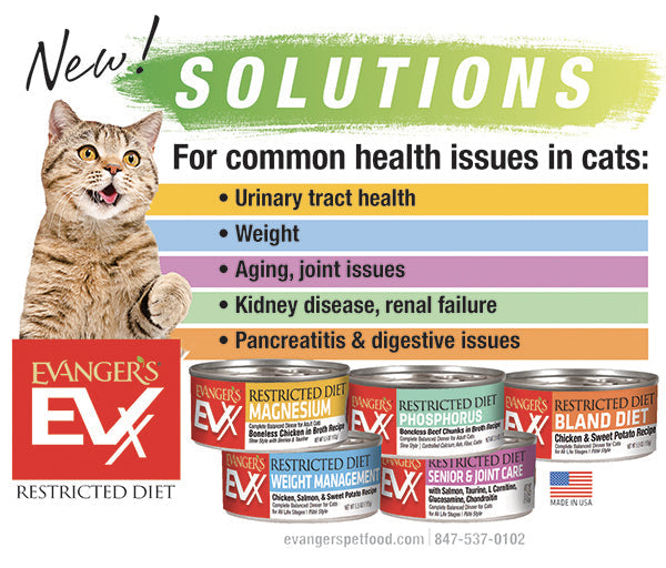 Evanger's EVx Restricted Diet Phosphorus Wet Cat Food Boneless Beef Chunks in Broth 5.5 oz 24 ct